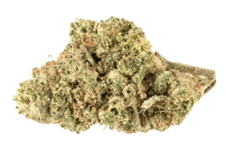 Demecan RF Epic Drop Gelato X OG Kush
Gelato OG